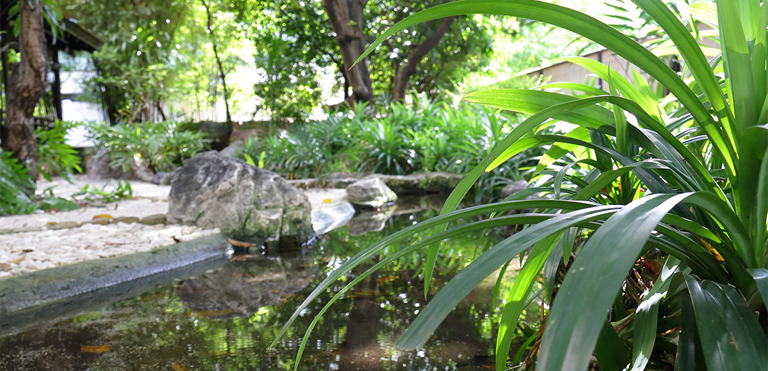 tensui-garden-view